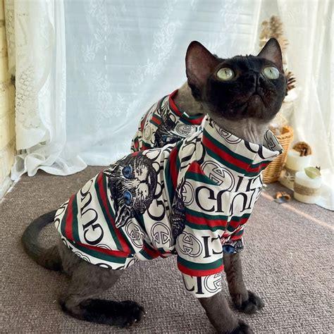 gucci cat tshirt|gucci pet fashion.